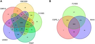 Comprehensive genome sequence analysis of the devastating tobacco bacterial phytopathogen Ralstonia solanacearum strain FJ1003